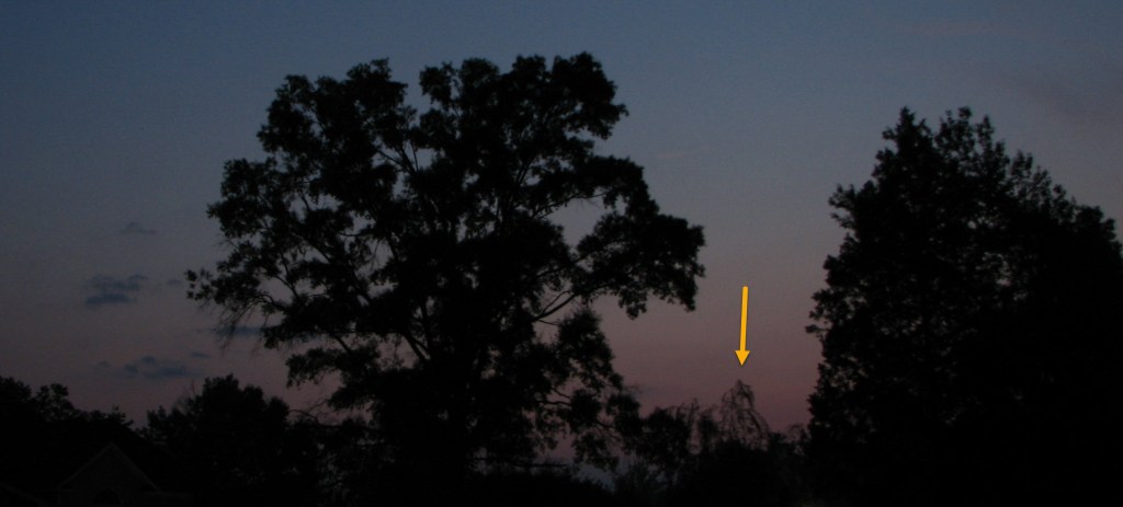Larry the lawn closeup